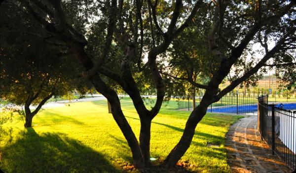 Tenuta Santa Lucia Hotel San Giovanni Rotondo Ngoại thất bức ảnh